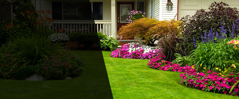 Timnath Landscapers